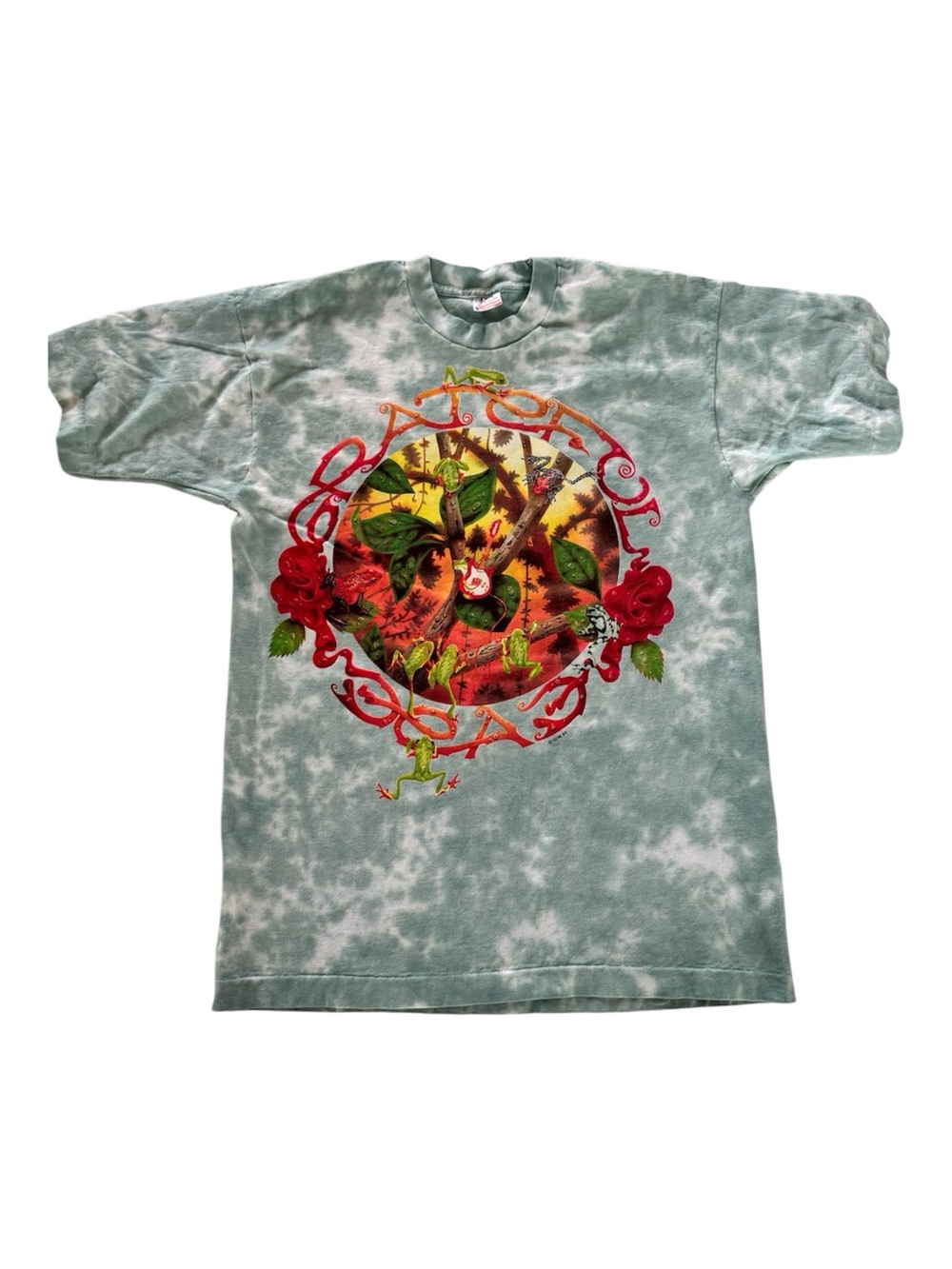 Vintage Grateful Dead Fall Tour 1995 Frog Tie‑Dye Tee Fruit of the Loom USA L